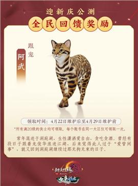 稀有版本天龙八部私服